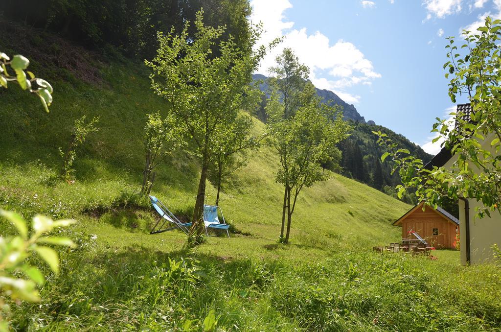 Farmhouse Stiftar Solčava Kamer foto