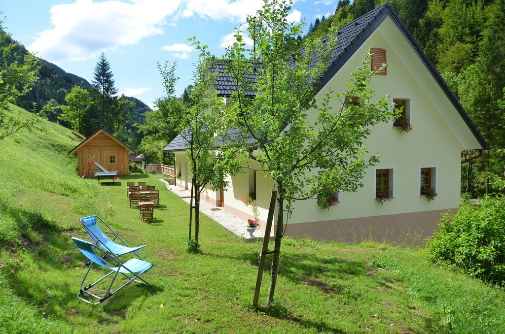 Farmhouse Stiftar Solčava Buitenkant foto