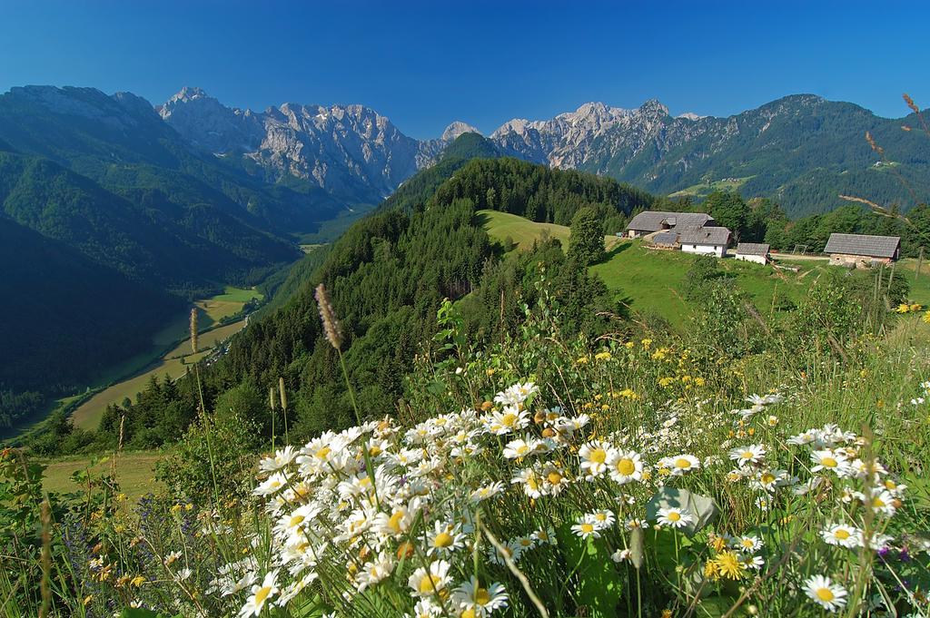 Farmhouse Stiftar Solčava Buitenkant foto